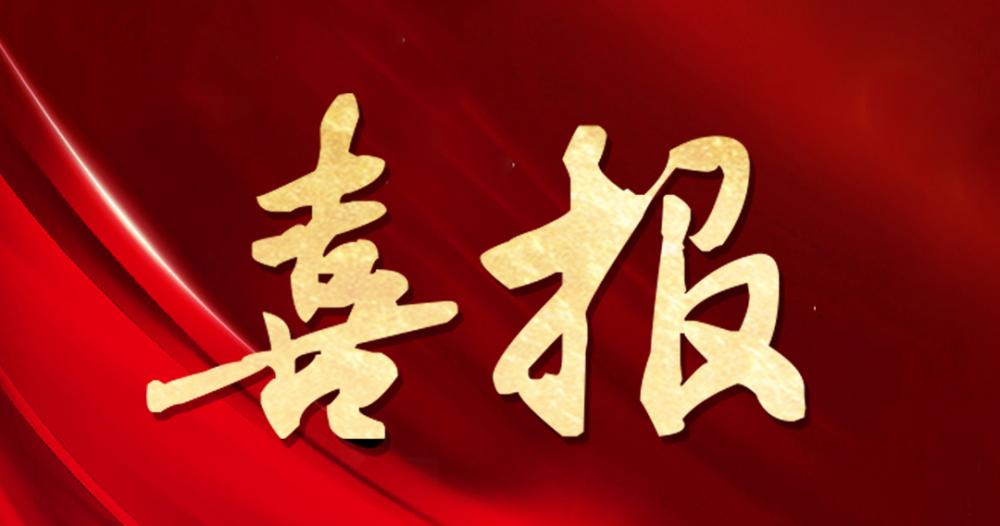 喜报 | 杭州园林股份获评“2024年度杰出贡献奖”